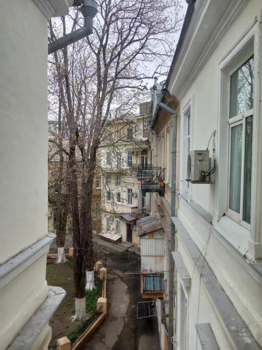 White Door Apartments Heart Of Odessa 1 외부 사진