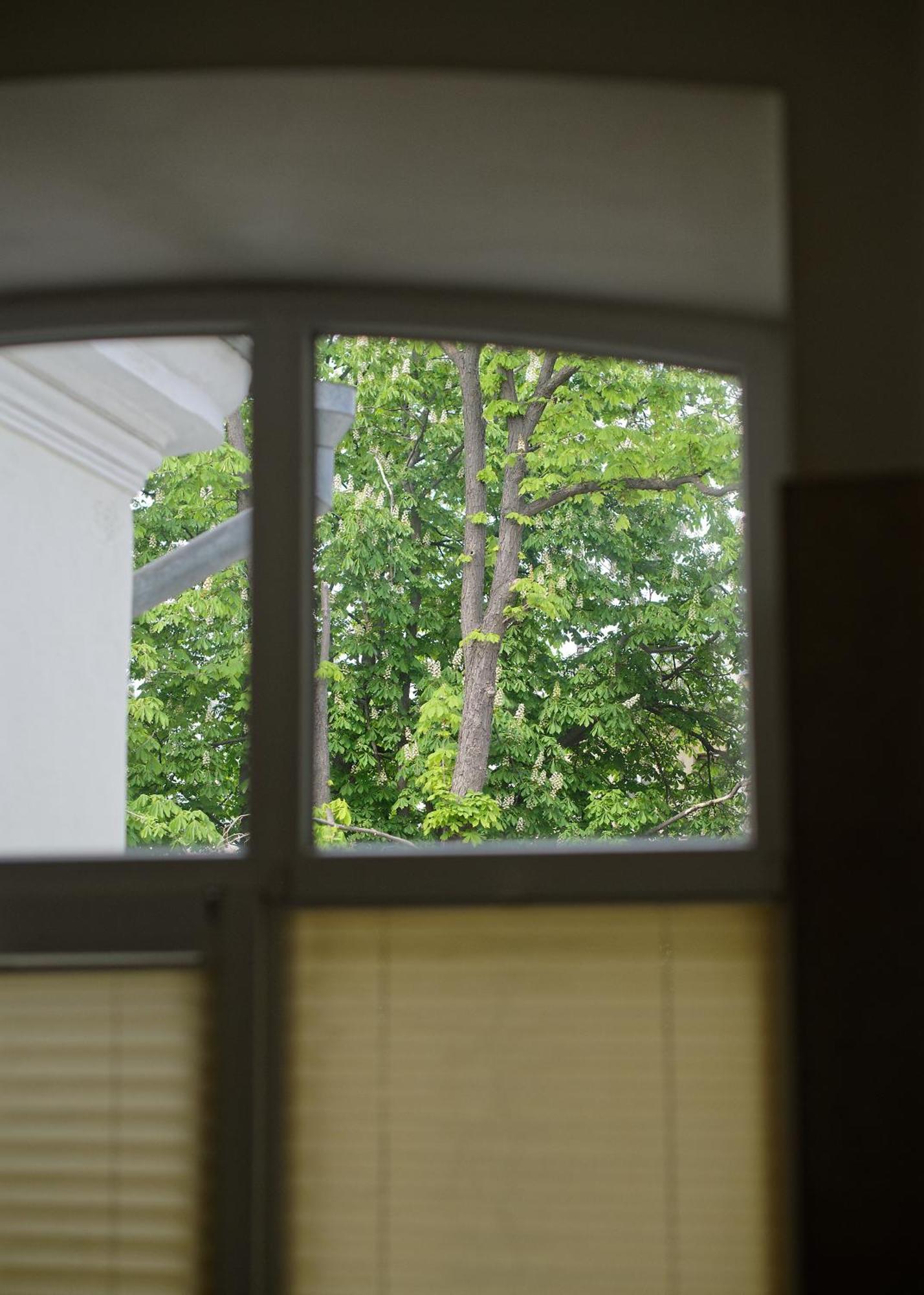 White Door Apartments Heart Of Odessa 1 외부 사진